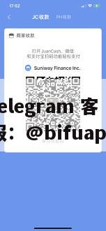 Philippine Third-Party Payment Solutions: Bifu